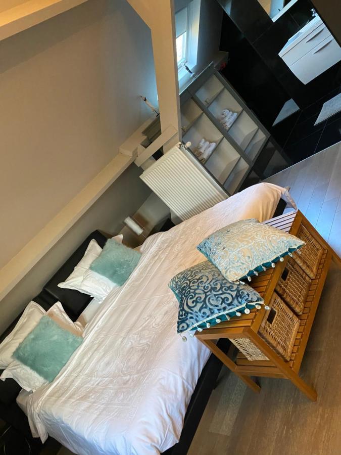 Cosy Studio Met Zwembad Beringen Dış mekan fotoğraf